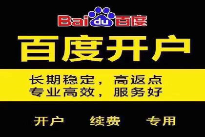 成功SEM推广竞价案例分享