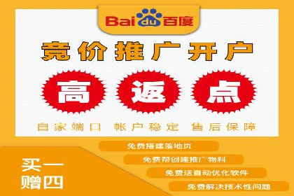 百度竞价与搜索引擎优化（SEO）的协同效应案例